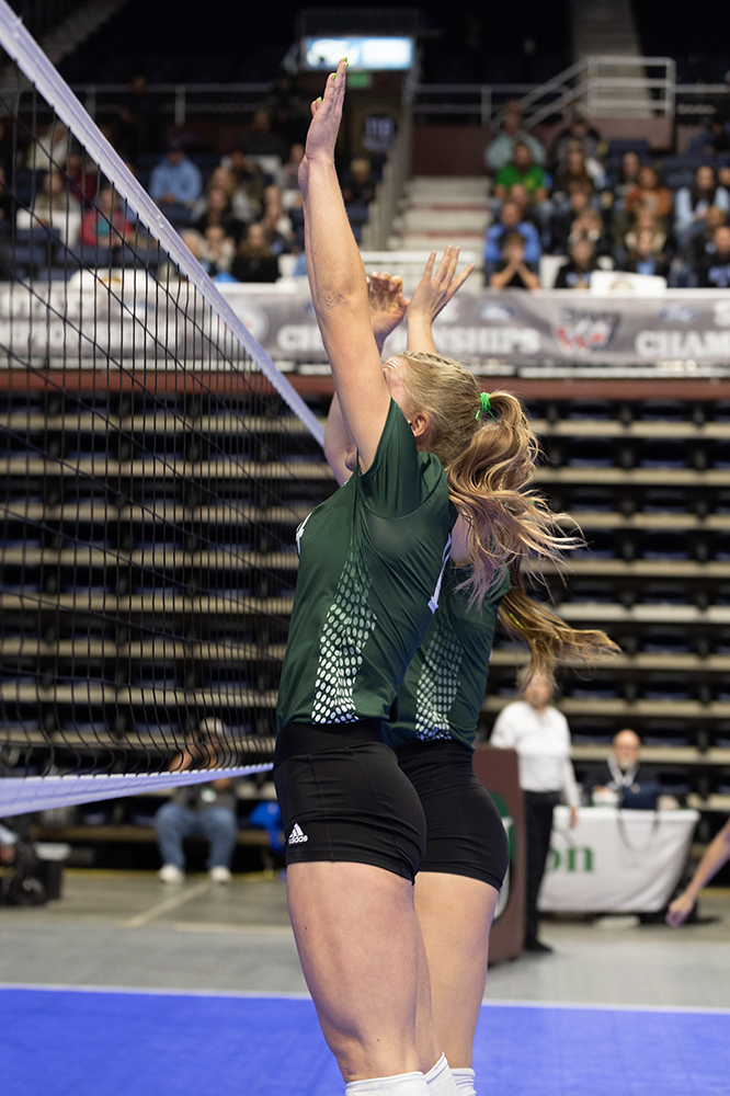 %_tempFileName1M6A6650%