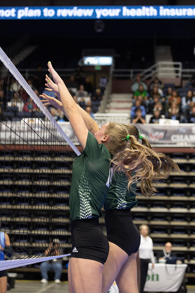 %_tempFileName1M6A6654%