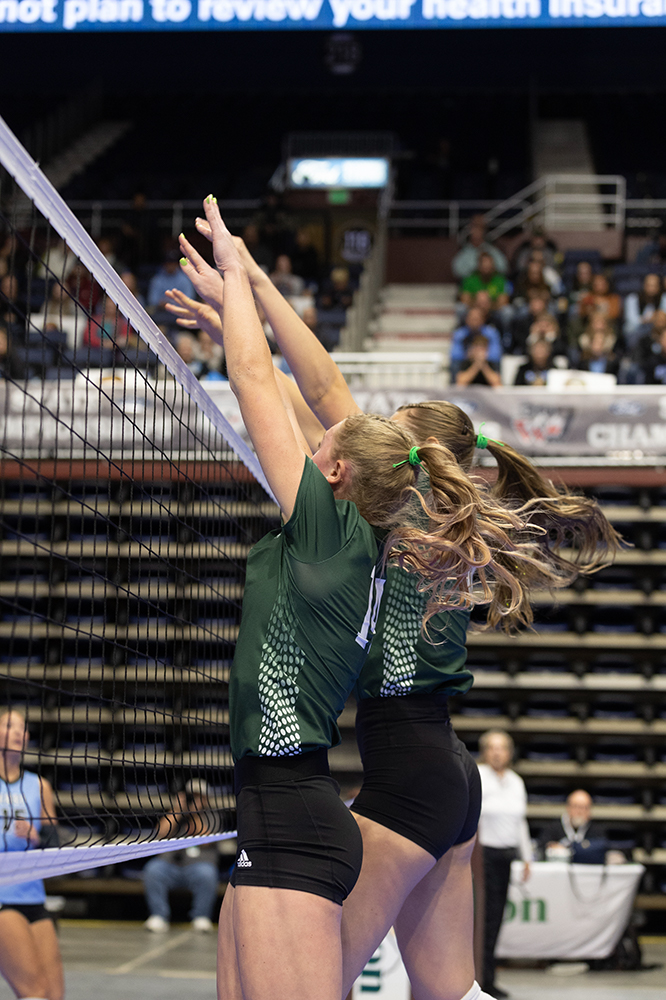 %_tempFileName1M6A6655%