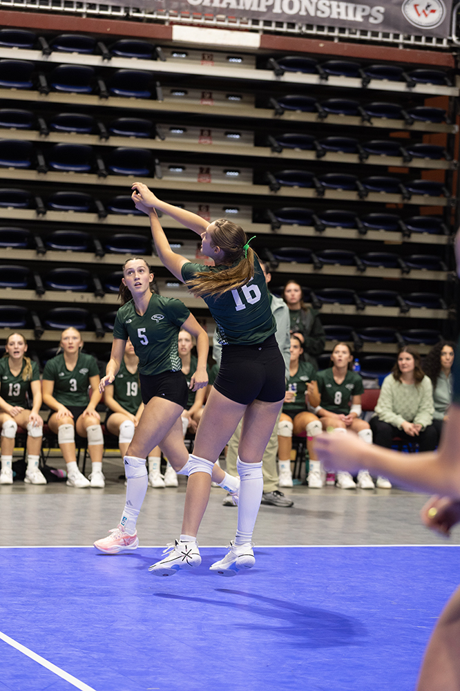 %_tempFileName1M6A6672%