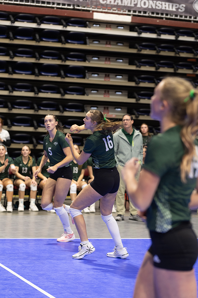 %_tempFileName1M6A6674%