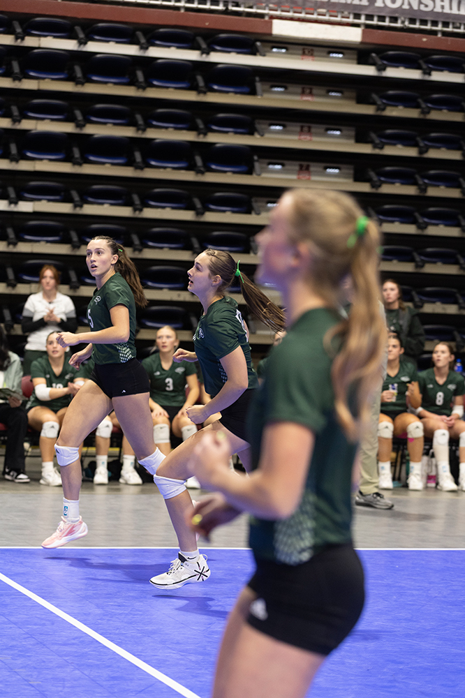 %_tempFileName1M6A6676%