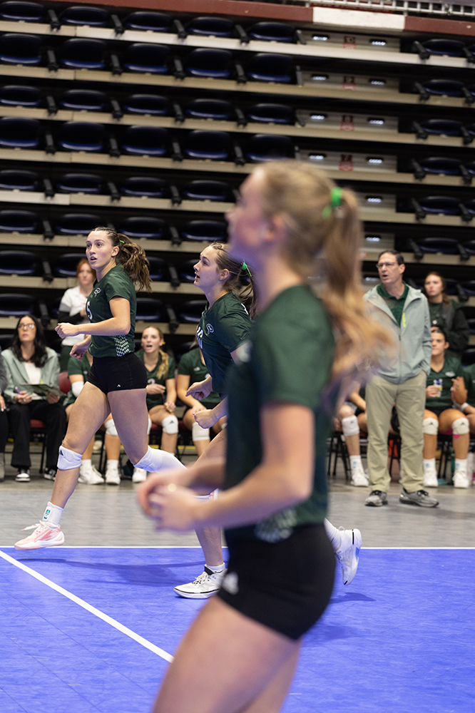 %_tempFileName1M6A6677%