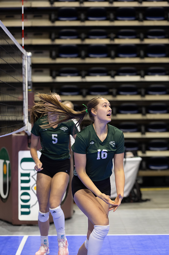 %_tempFileName1M6A6691%