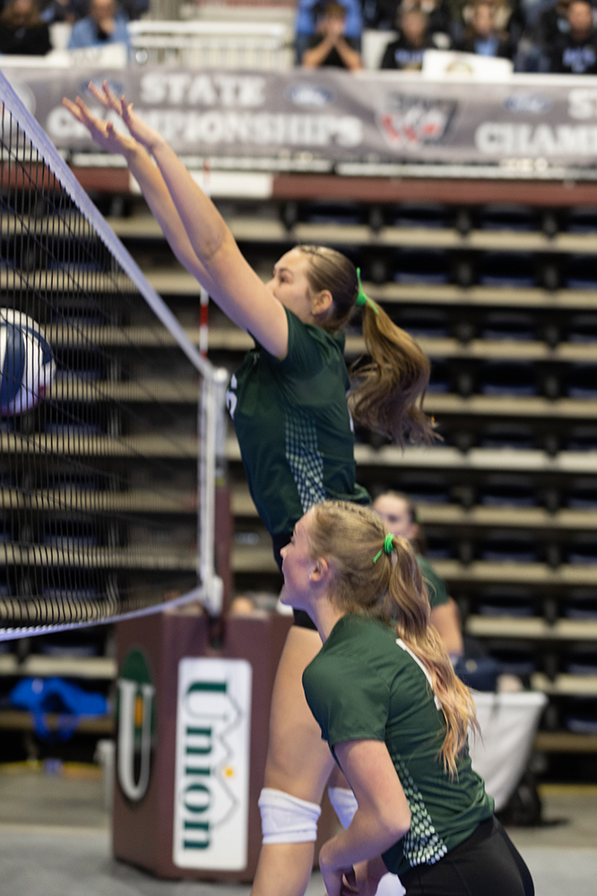 %_tempFileName1M6A6695%