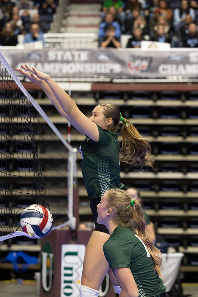 %_tempFileName1M6A6696%