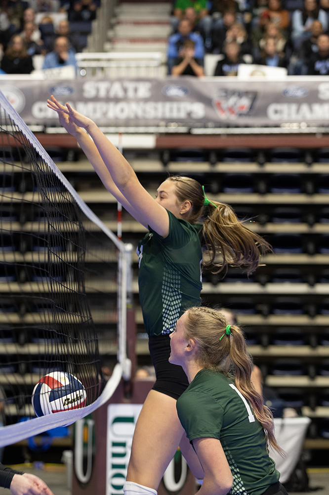 %_tempFileName1M6A6697%