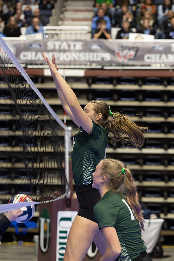 %_tempFileName1M6A6698%