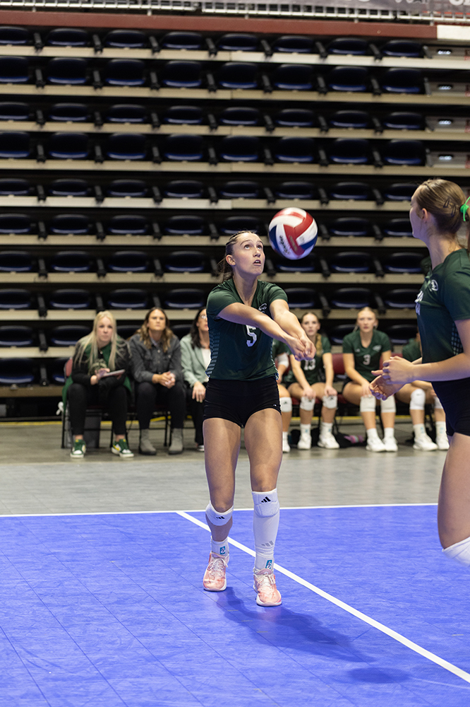 %_tempFileName1M6A6740%