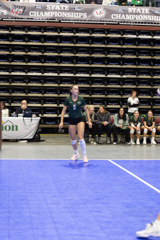 %_tempFileName1M6A6795%