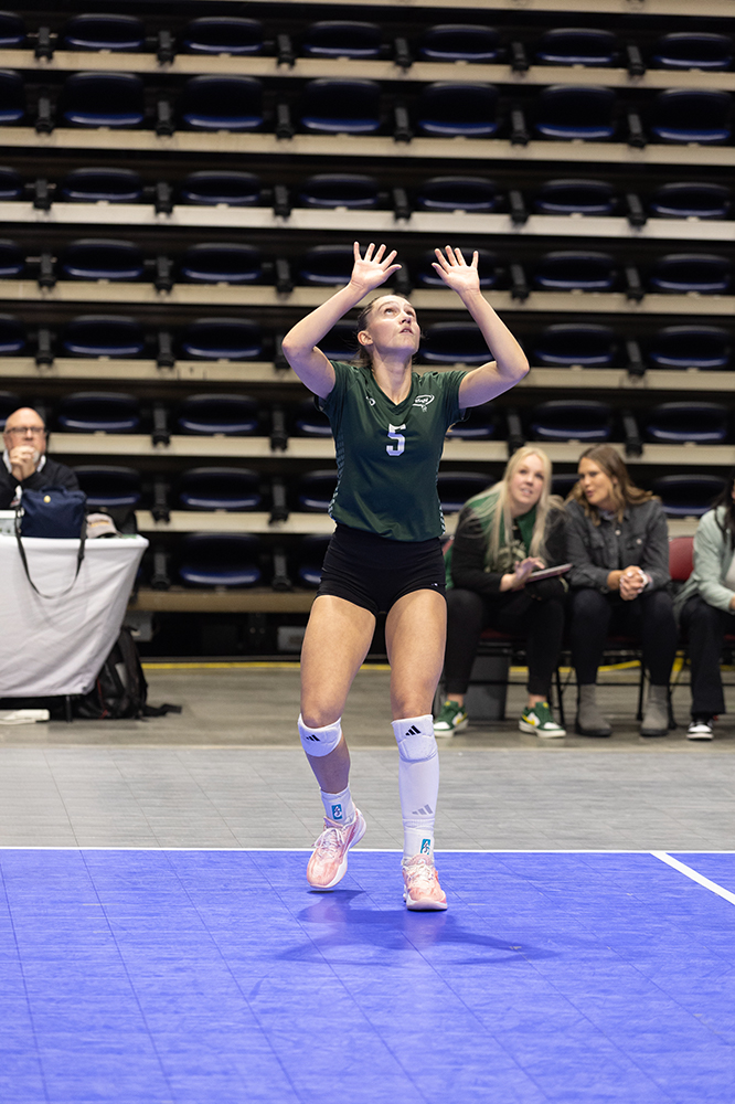 %_tempFileName1M6A6799%