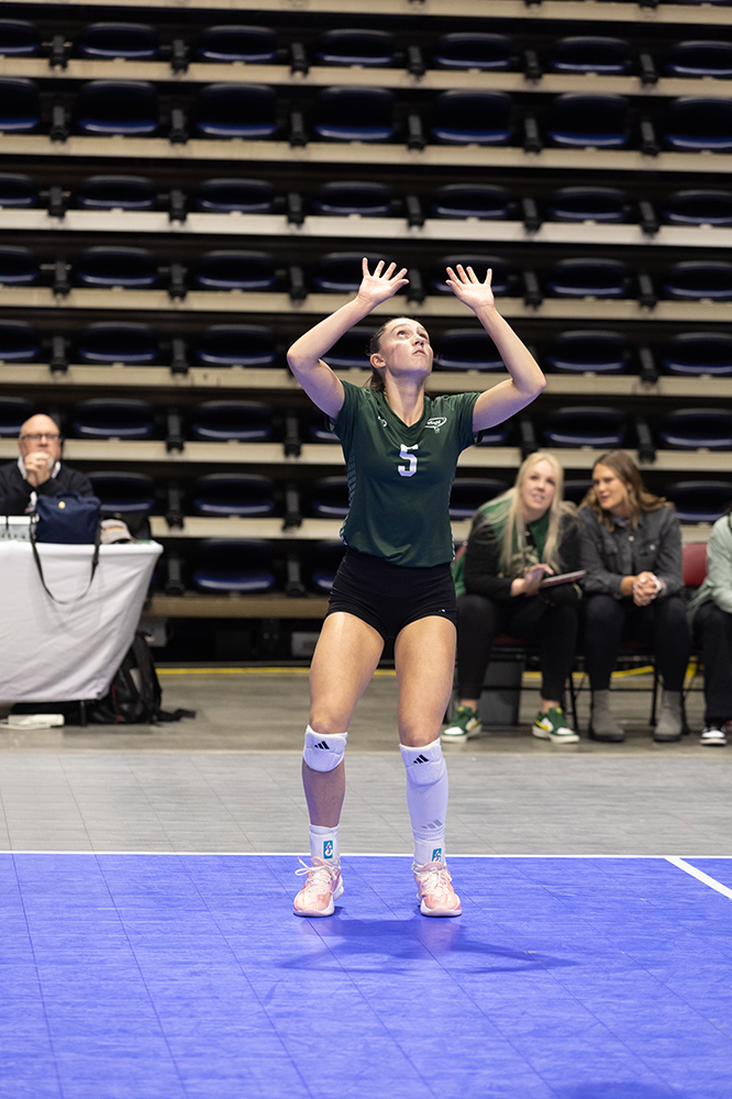 %_tempFileName1M6A6801%