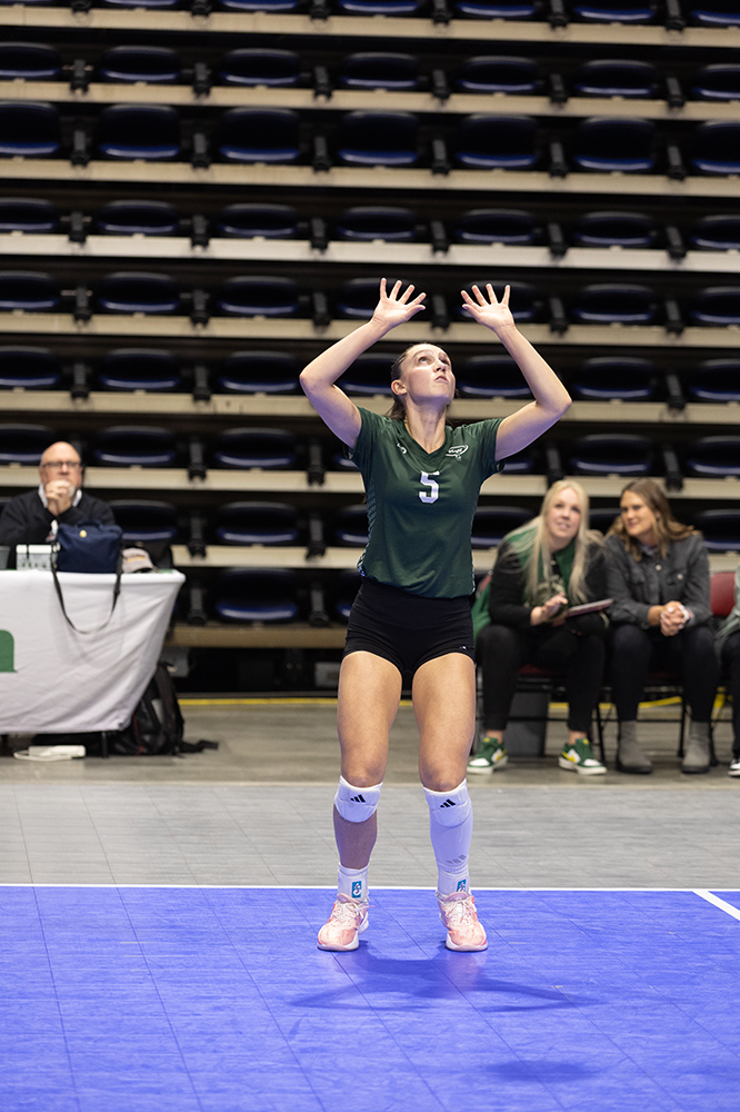 %_tempFileName1M6A6803%