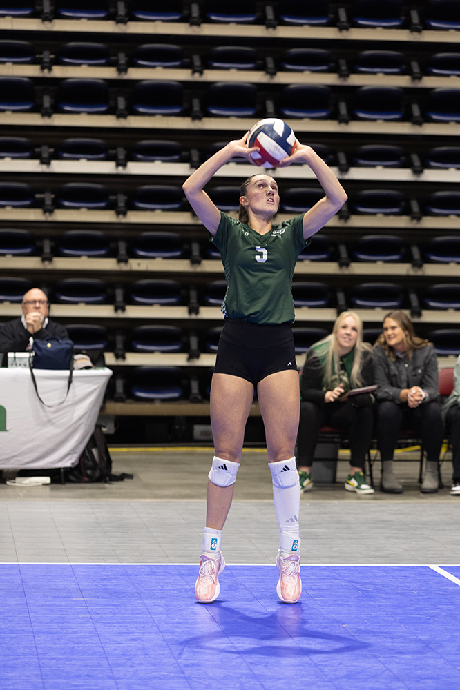 %_tempFileName1M6A6805%