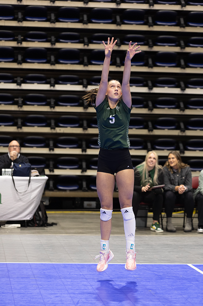 %_tempFileName1M6A6810%