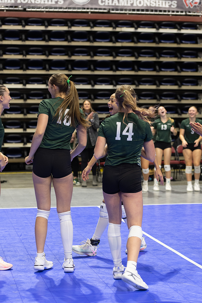 %_tempFileName1M6A6850%