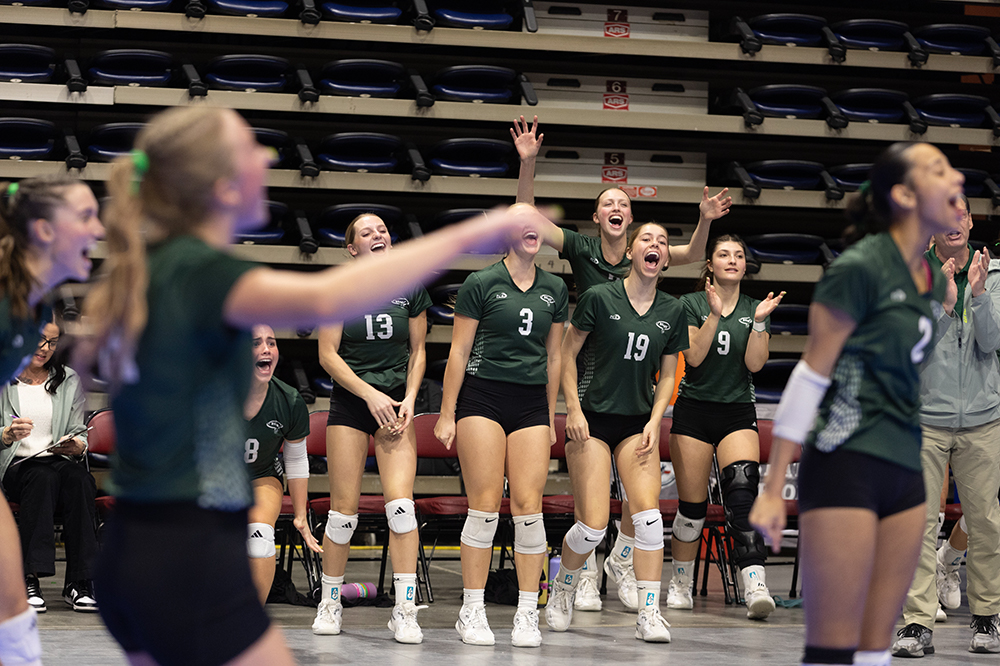 %_tempFileName1M6A6913%