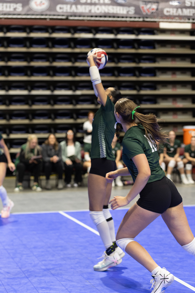 %_tempFileName1M6A6951%