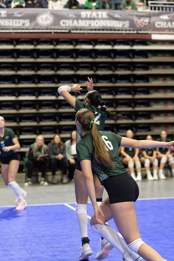 %_tempFileName1M6A6956%