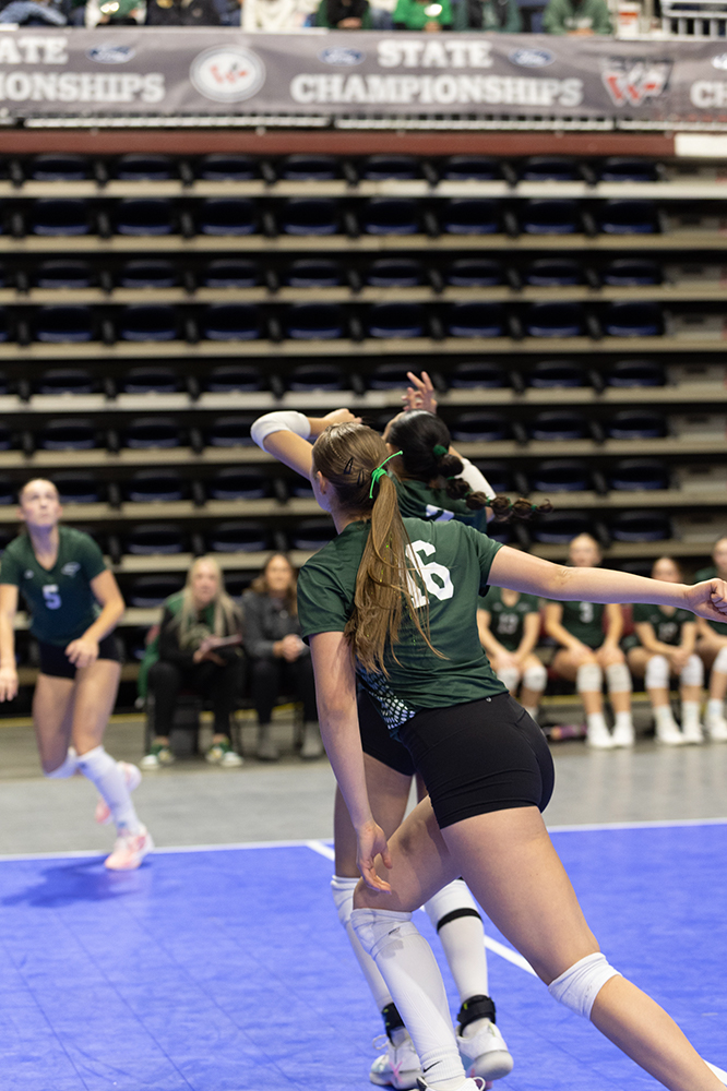 %_tempFileName1M6A6957%