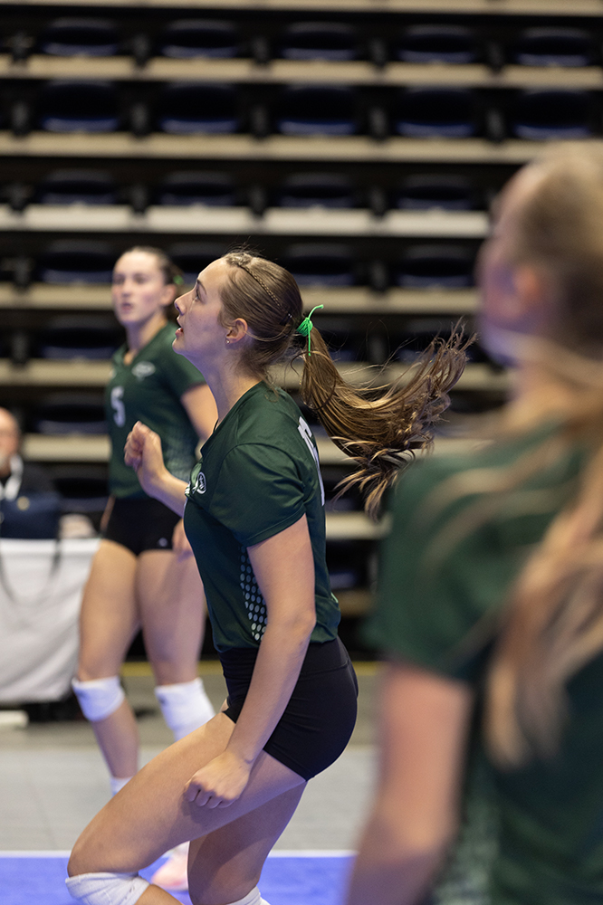 %_tempFileName1M6A6979%