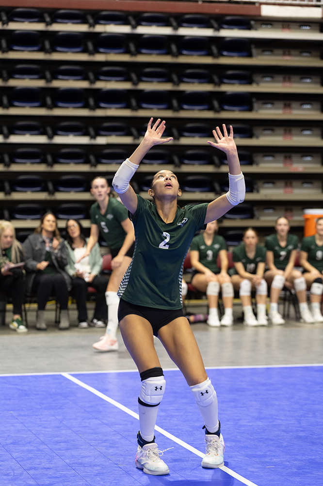 %_tempFileName1M6A6981%