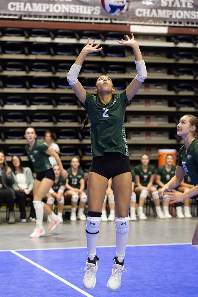 %_tempFileName1M6A6985%