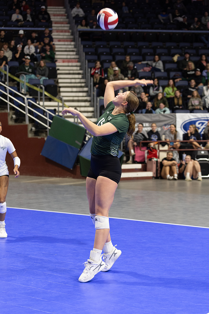 %_tempFileName1M6A7036%