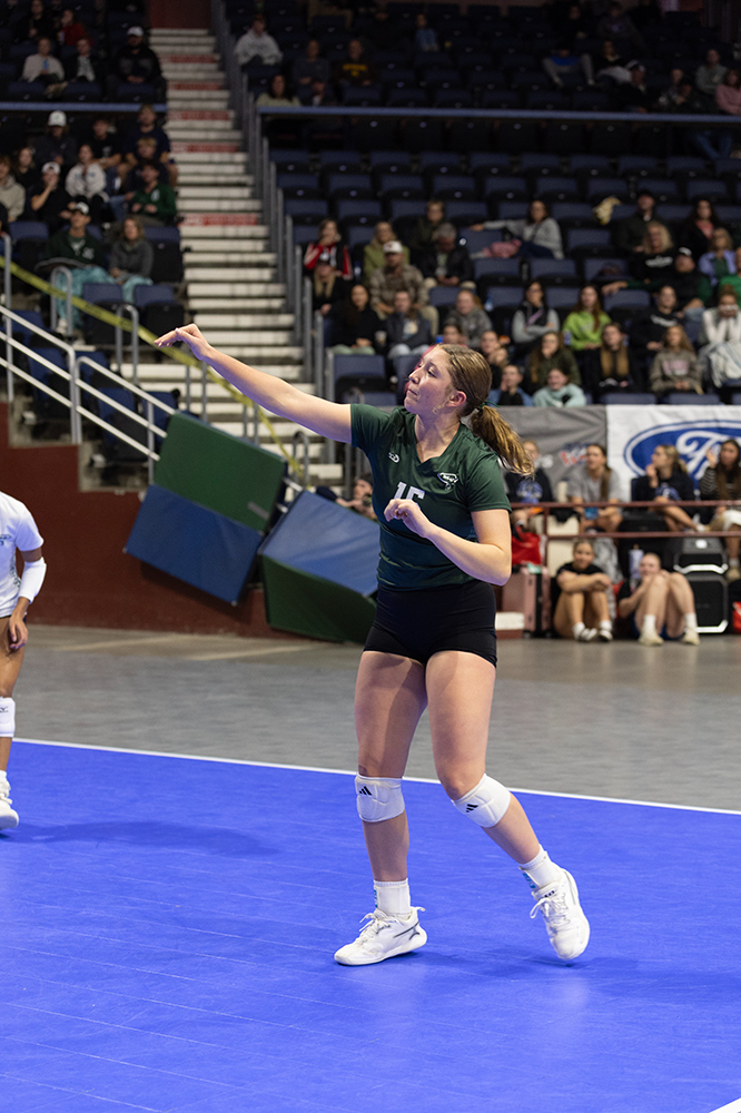 %_tempFileName1M6A7040%