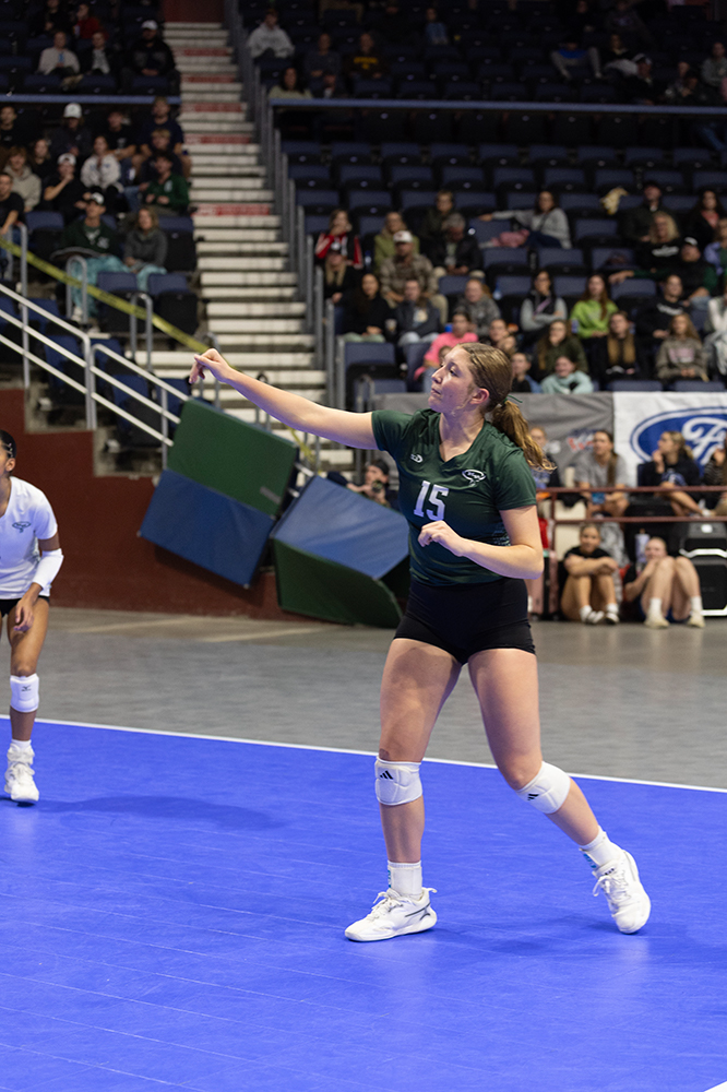 %_tempFileName1M6A7041%