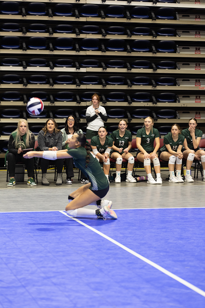 %_tempFileName1M6A7042%