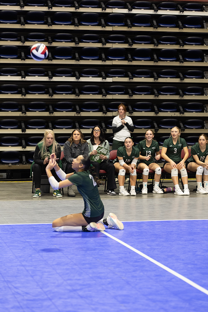 %_tempFileName1M6A7044%