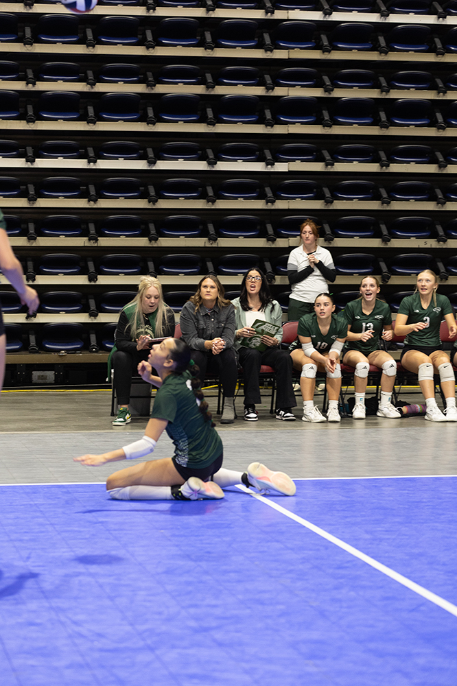 %_tempFileName1M6A7046%