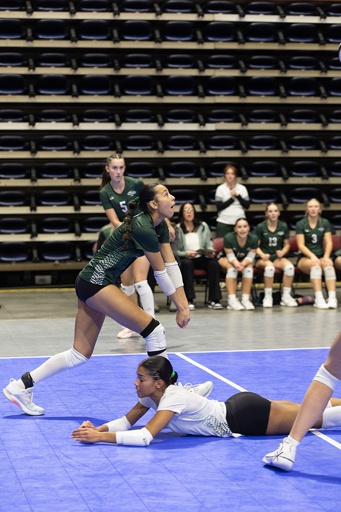 %_tempFileName1M6A7053%