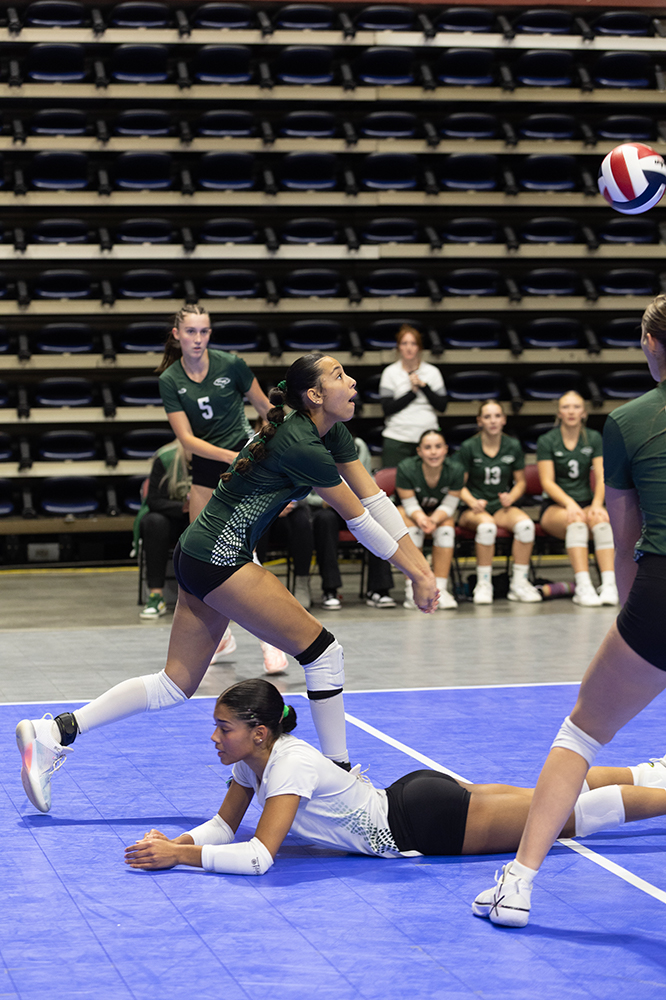 %_tempFileName1M6A7054%