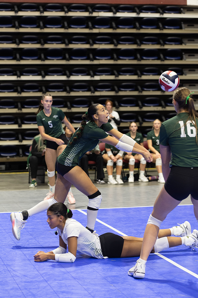 %_tempFileName1M6A7055%