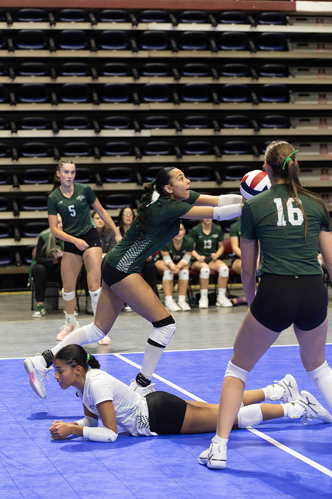 %_tempFileName1M6A7056%