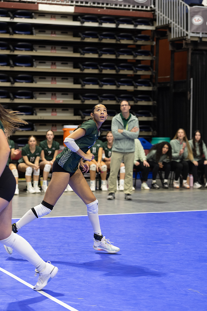 %_tempFileName1M6A7065%