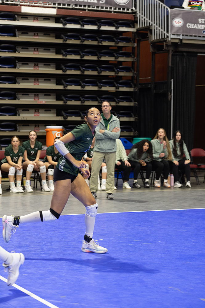 %_tempFileName1M6A7066%