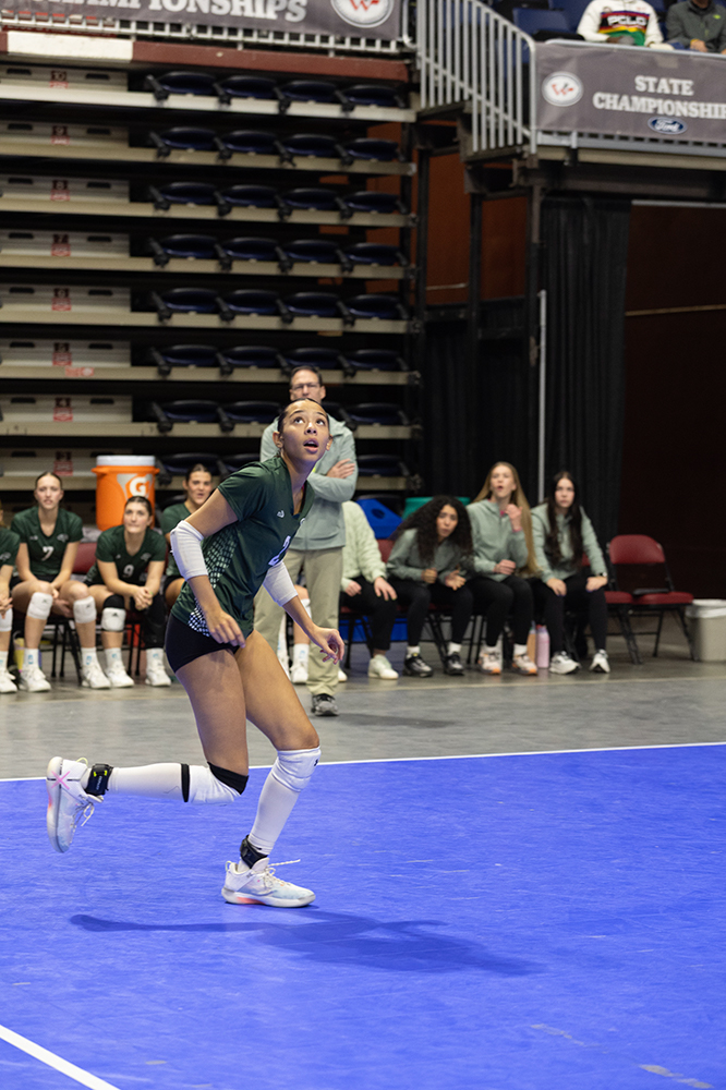 %_tempFileName1M6A7067%