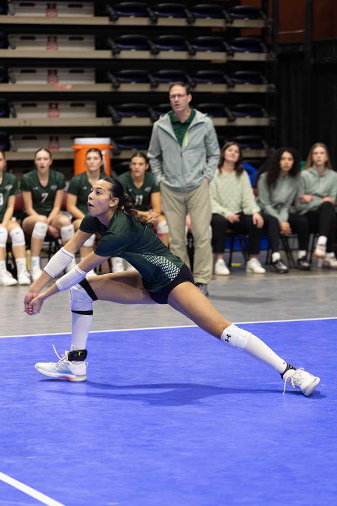 %_tempFileName1M6A7077%