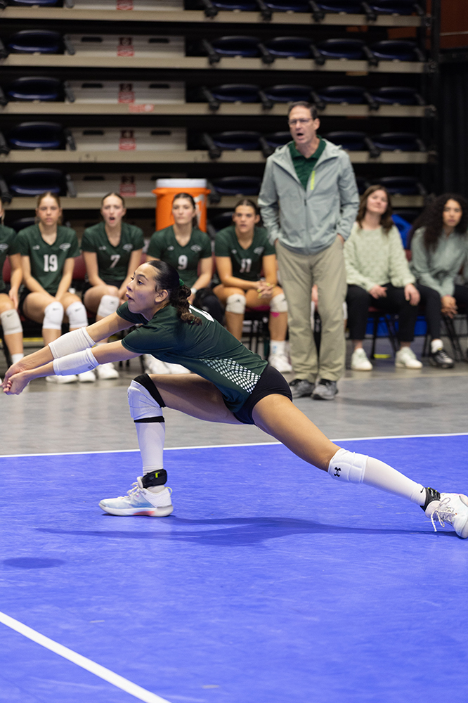 %_tempFileName1M6A7078%