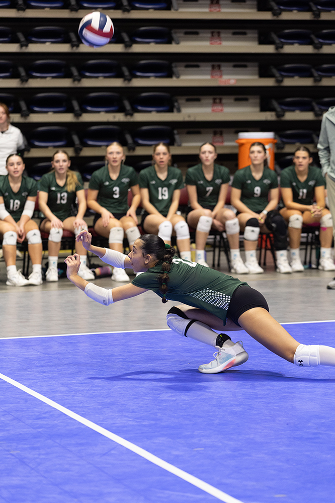 %_tempFileName1M6A7081%