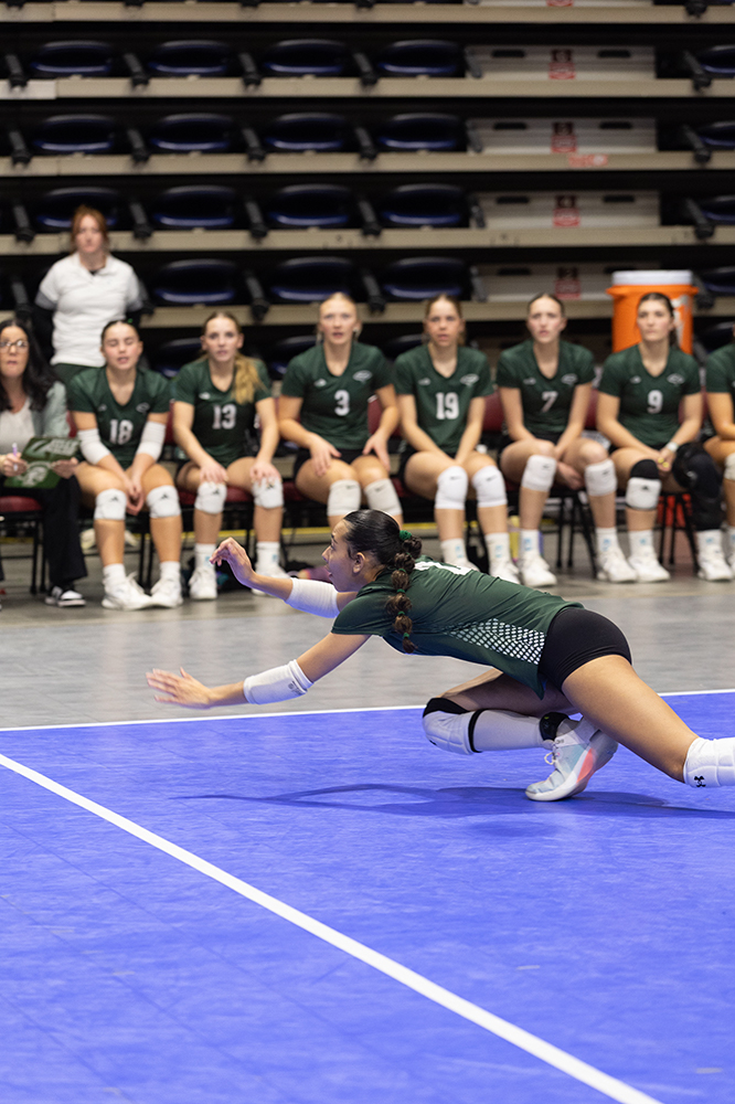 %_tempFileName1M6A7082%