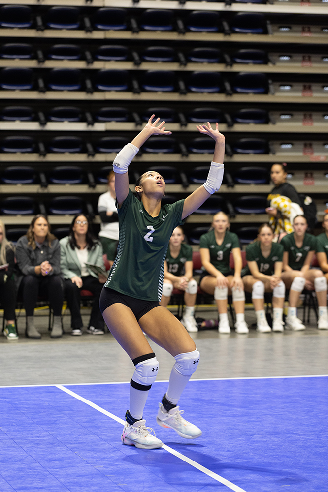 %_tempFileName1M6A7131%