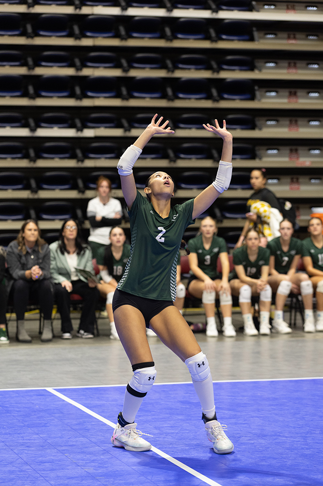 %_tempFileName1M6A7132%