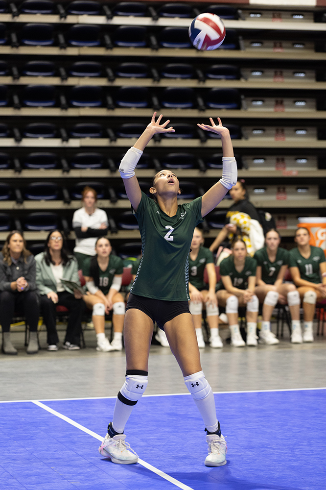 %_tempFileName1M6A7133%