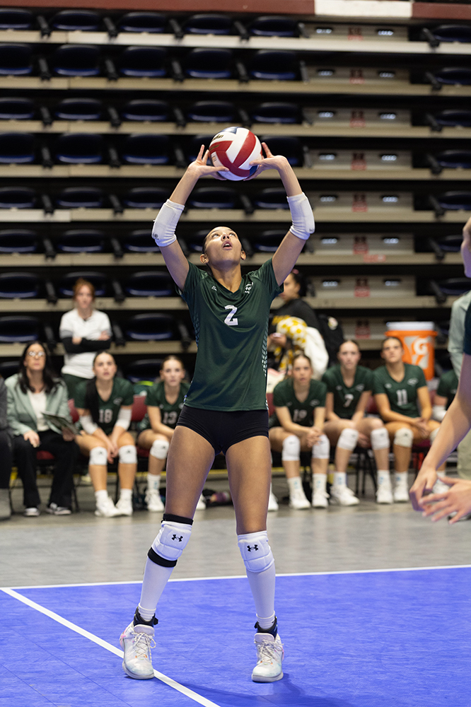 %_tempFileName1M6A7134%