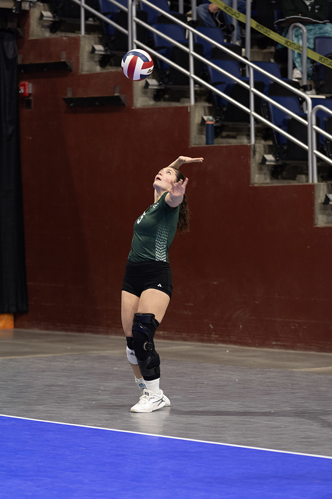 %_tempFileName1M6A7181%