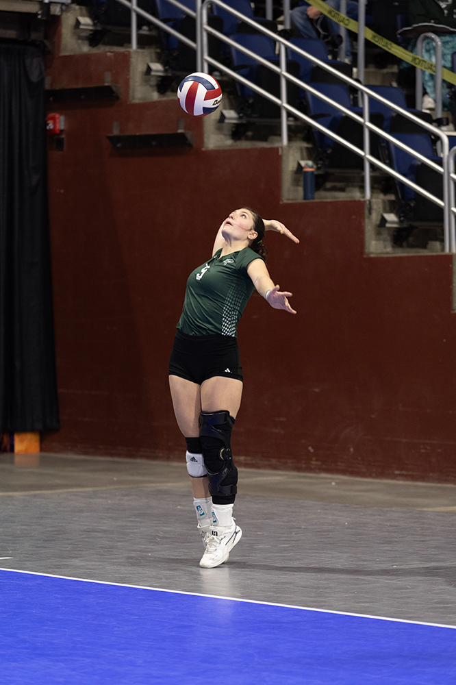 %_tempFileName1M6A7182%